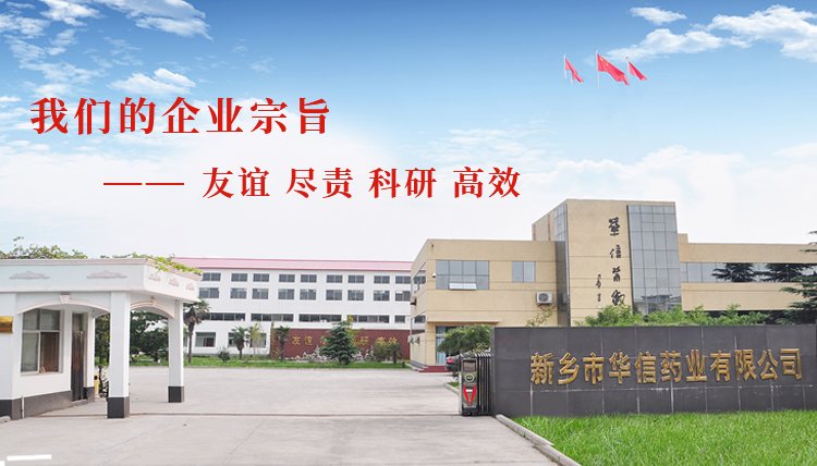 欧洲杯官方合作伙伴星空网官方站入口官